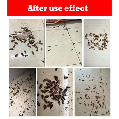 High Quality Micro Toxic Effect Insecticide Spraying Pest Control