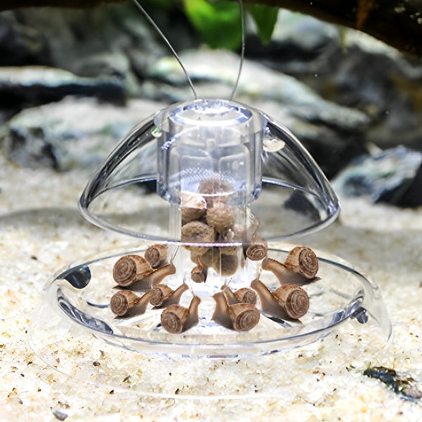 Practical Aquarium Snail Catcher Trap