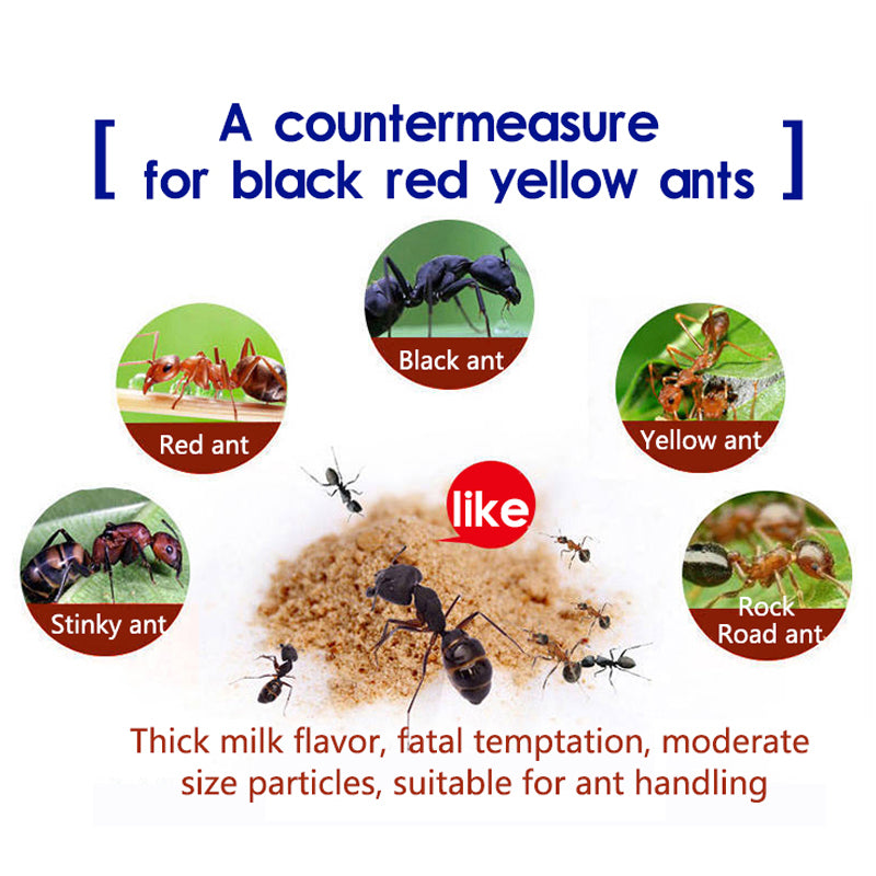 20pcs Ant Baits Powder Trap