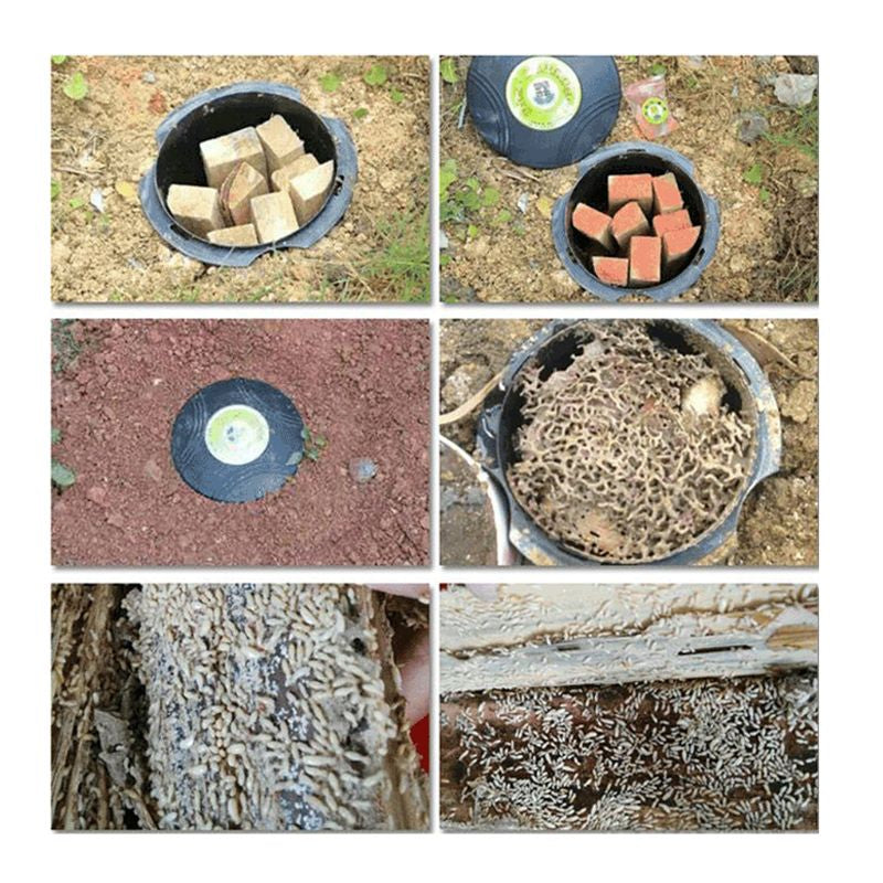 Termite Bait Trap