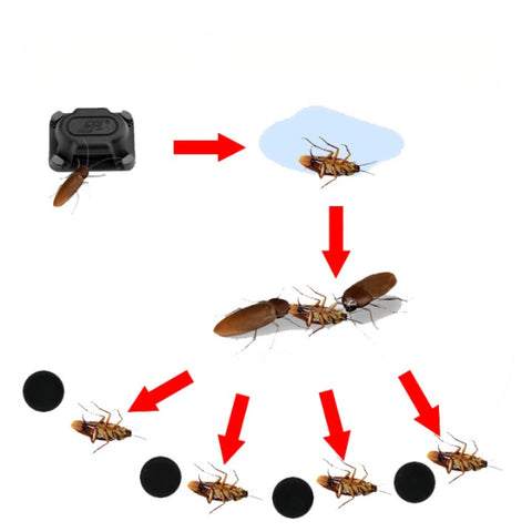 10pcs/box Cockroach Trap Box
