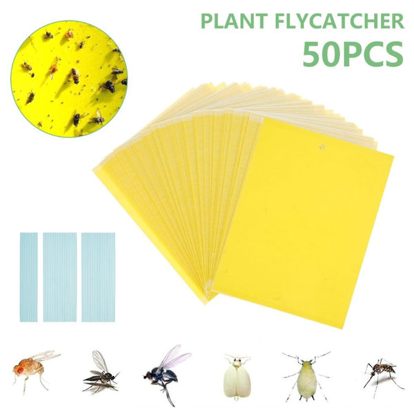 Double-Sided Insects Trap Board Sticker