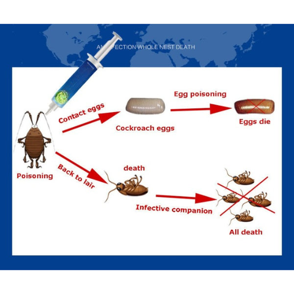 Strength Drug Cockroach Medicine Gel 10g Bait Trap