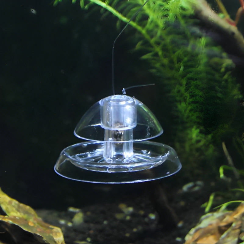 Practical Aquarium Snail Catcher Trap